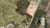 3557 Peach Orchard Road, Augusta, GA, 30906