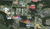 Burkhalter Haas Road, North Little Rock, AR, 72113