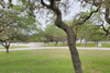 610 Old Boerne Rd, Bulverde, TX, 78163
