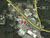 1290 Highway 278, Camden, AR, 71701