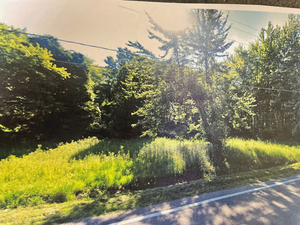 4303 S Berkey Southern Rd, Swanton, OH, 43558