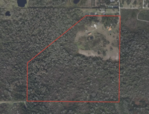 14238 Corkwood Ln, Astatula, FL, 34705