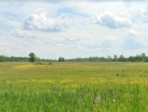 2313 Townline Road, Alden, NY, 14004