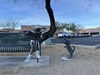 500 E Tangerine Rd, Oro Valley, AZ, 85755