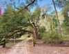 Old Settlement Road, TALLAHASSEE, FL, 32308