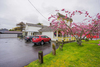 4214 Pacific Hwy , Seaview, WA, 98644