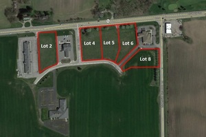 4 Turtle Creek Circle, Swanton, OH, 43558