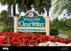 1250 Rogers St , Clearwater, FL, 33756
