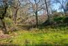 14900 Bear Mountain Rd, Redding, CA, 96003