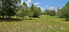 Mammoth Grove Rd, Lake Wales, FL, 33898