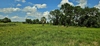 Mammoth Grove Rd, Lake Wales, FL, 33898
