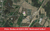 803 Nadeau Rd, Monroe, MI, 48162