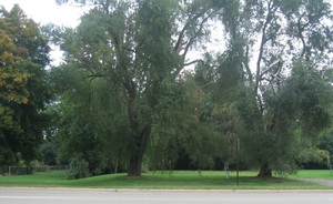 639 Hewitt, Ypsilanti, MI, 48197