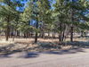 7000 N. Hwy 89, Flagstaff, AZ, 86004