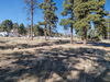 7000 N. Hwy 89, Flagstaff, AZ, 86004