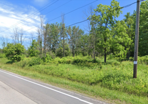 5677 Strickler, Clarence, NY, 14031