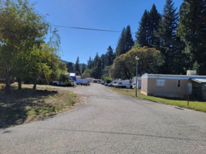 14321 Branscomb Rd, Branscomb, CA, 95417