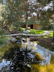 4700, 4730 & 4760 Oakland St, | 4705 & 4755 Paris St, Denver, CO, 80239