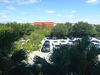 5850 Coral Ridge Drive #202, Coral Springs, FL, 33076