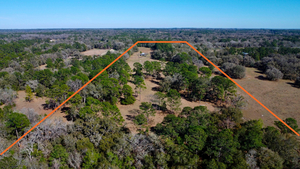 10550 Northwest 115th Avenue, Reddick, FL, 32686