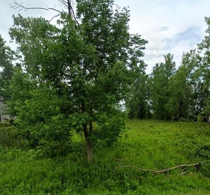 445 Seneca Creek Road, West Seneca, NY, 14224