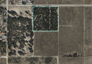 Friedlander Road, Lake Wales, FL, 33898
