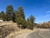 Colorado 74 and Buffalo Park Road, Evergreen, CO, 80439