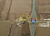 337 State Highway P, New Madrid, MO, 63869