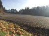 805 Carpenter Rd, Lacey, WA, 98503