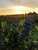 13778 Highway 39 , Mount Vernon, MO, 65712