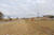 711 East Boone Street, Ash Grove, MO, 65604