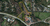 0 Langford Drive , Watkinsville, GA, 30677