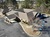 1565 Highway 34 East, Newnan, GA, 30265
