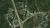 9620 E 77 Dr, Cambridge, OH, 43725