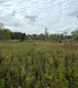 Whitmore Lake Road, Whitmore Lake, MI, 48189