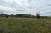 Whitmore Lake Road, Whitmore Lake, MI, 48189