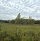 Whitmore Lake Road, Whitmore Lake, MI, 48189