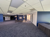 3550 Buschwood Park Drive - Suite 180, Tampa, FL, 33618