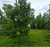 445 Seneca Creek Road, West Seneca, NY, 14224
