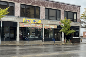 547 Elmwood Ave , Buffalo, NY, 14222
