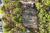 7217 Becky Circle, Raleigh, NC, 27615