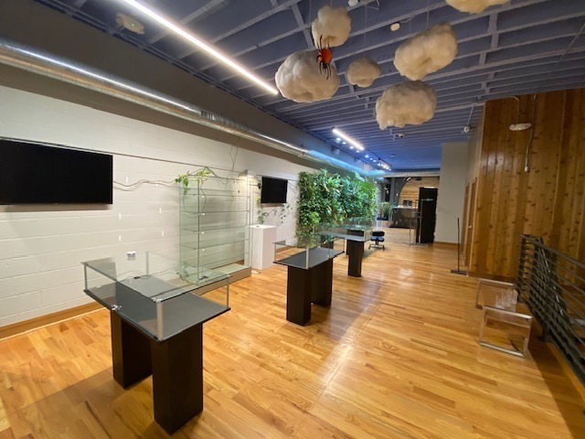 Picture 6