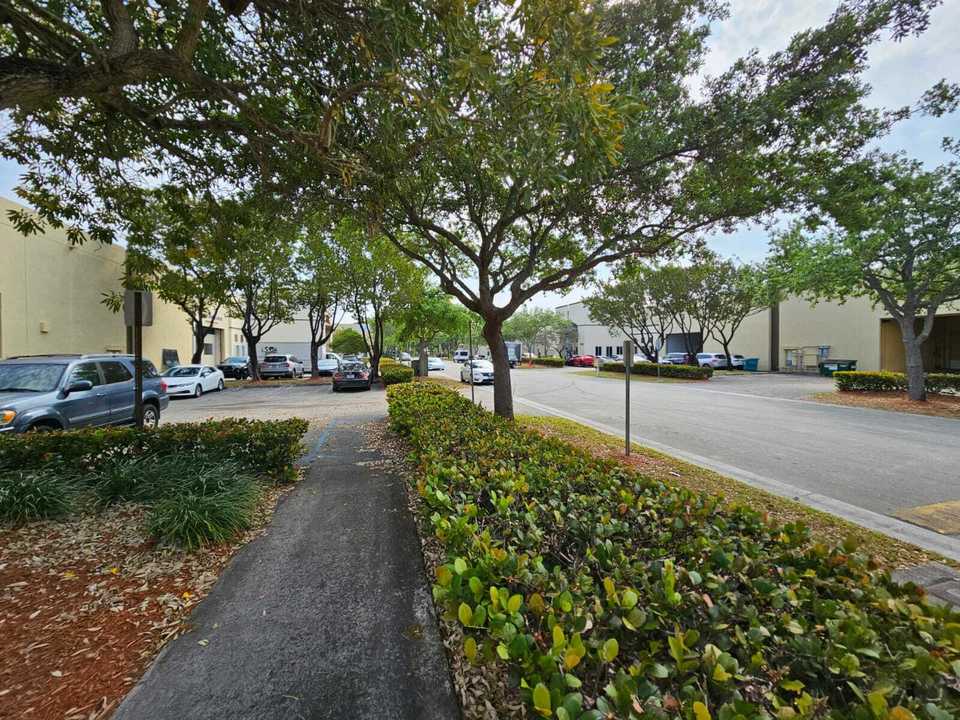 Picture 4
