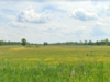 2313 Townline Road, Alden, NY, 14004