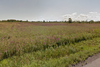 2313 Townline Road, Alden, NY, 14004