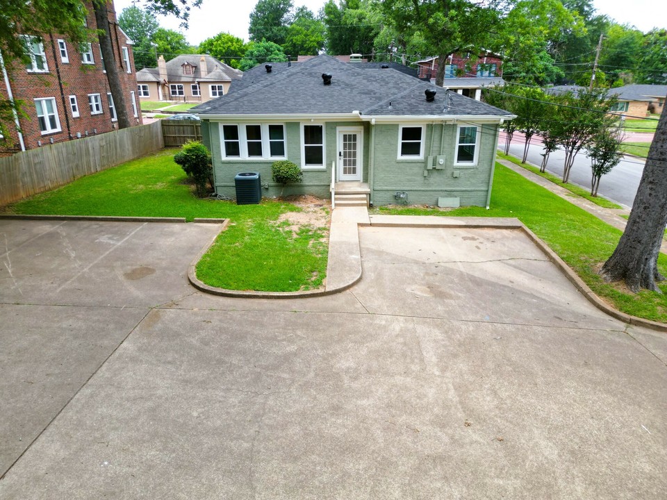 Picture 5