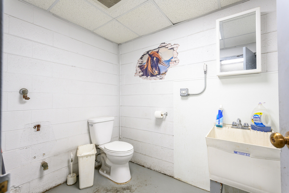 Picture 14