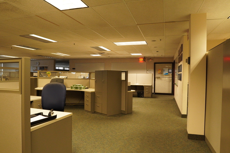 Picture 8