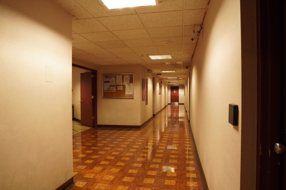Picture 14