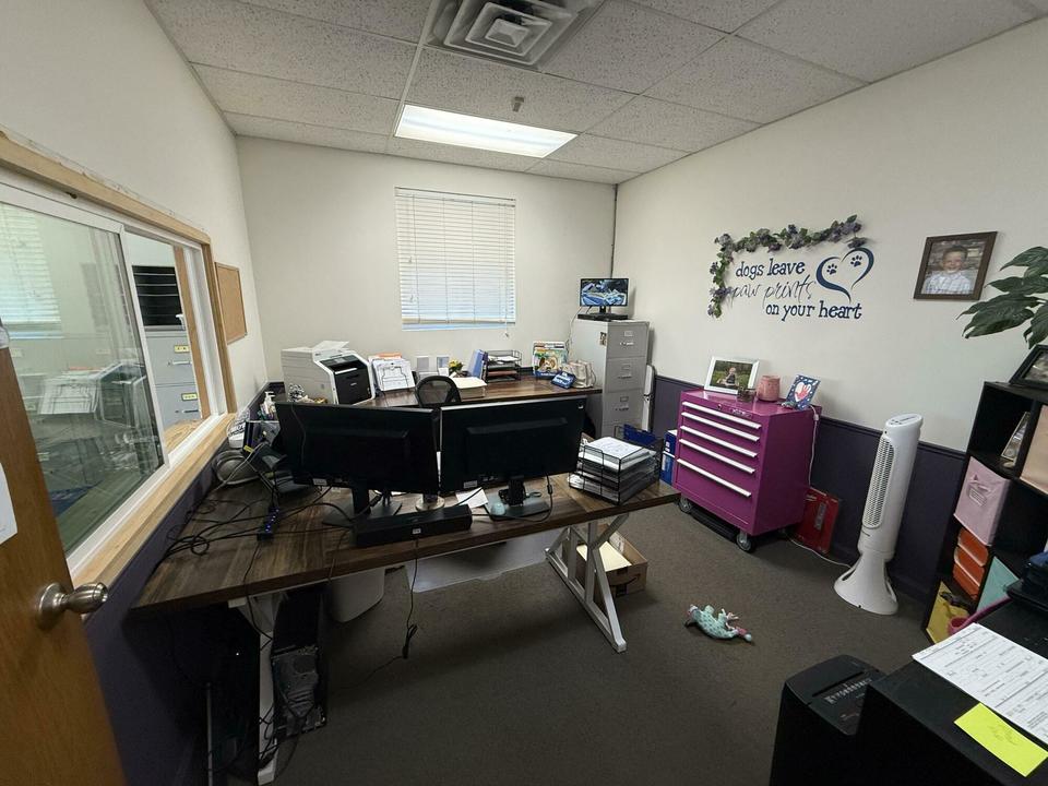 Picture 12